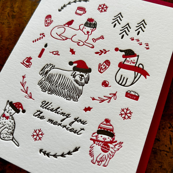 Wishing You the Merriest, Dog/Cat by