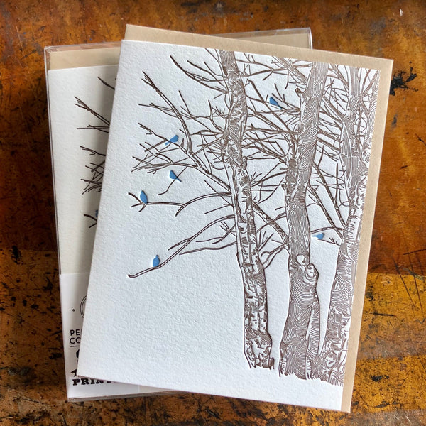 Birds in Winter Trees