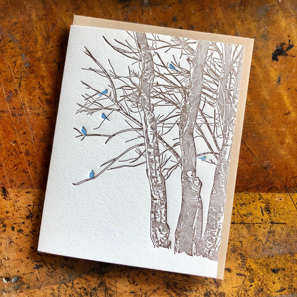 Birds in Winter Trees