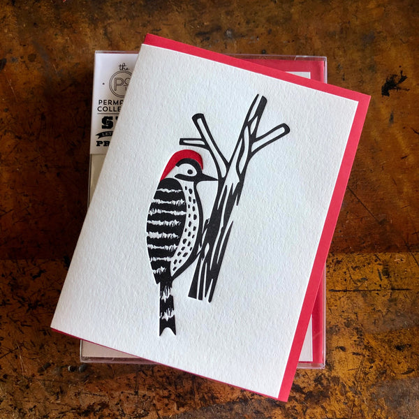 Woodpecker, Red-Bellied