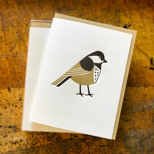 Tit Bird